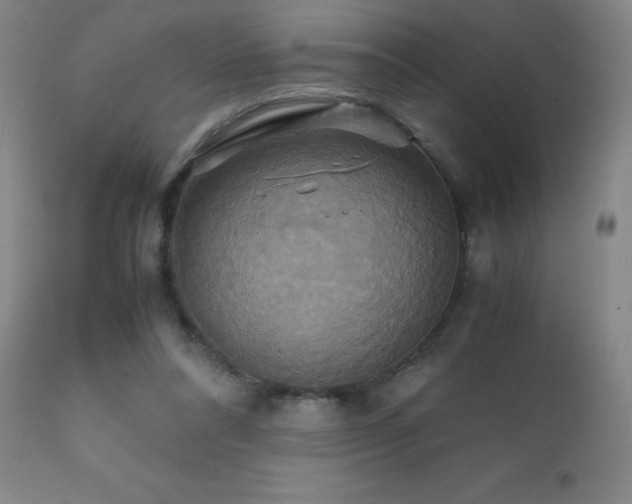 X0000111230304200907021405