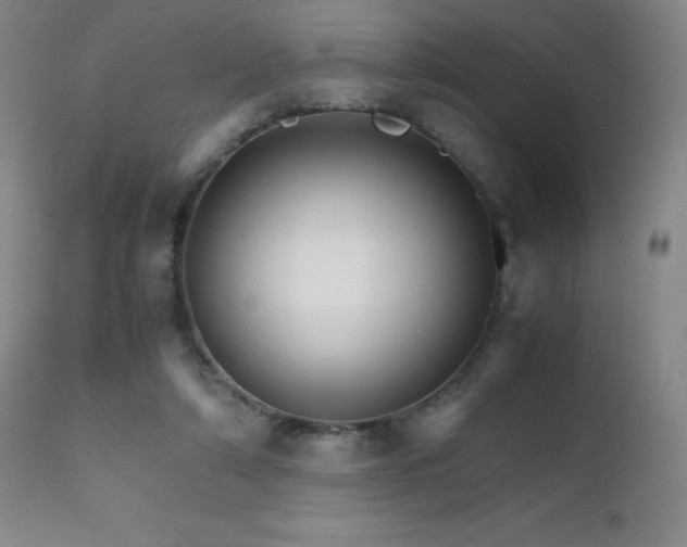 X0000111230306200907021405