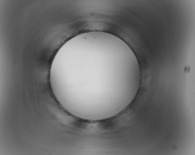 X0000111230309200907021405