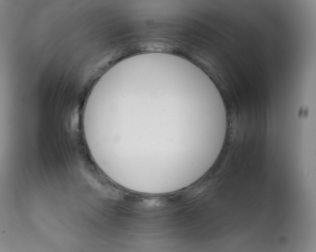 X0000111230310200907021405