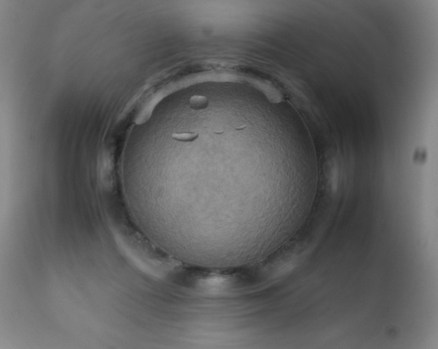X0000111230312200907021405