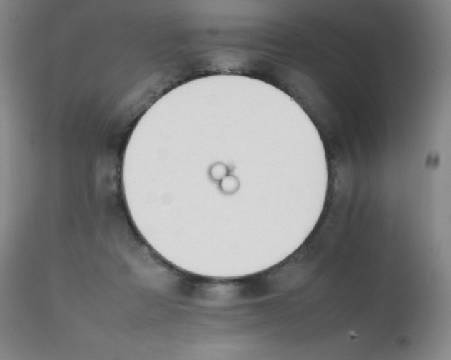 X0000111230313200907021405