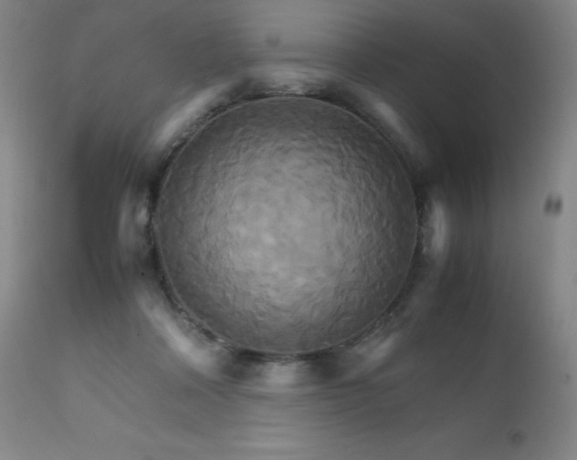 X0000111230314200907021405