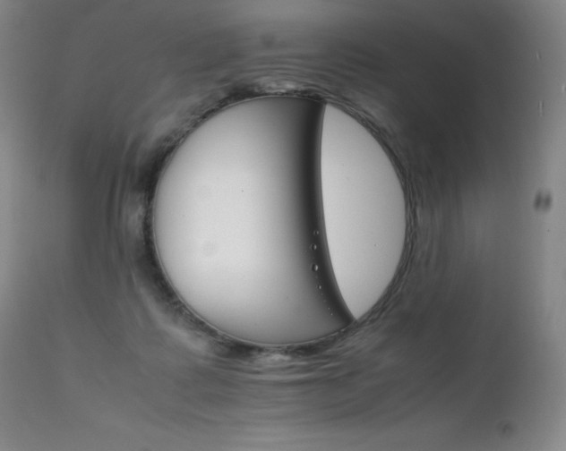 X0000111230315200907021405