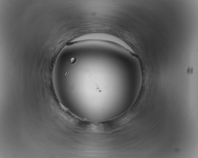 X0000111230317200907021405