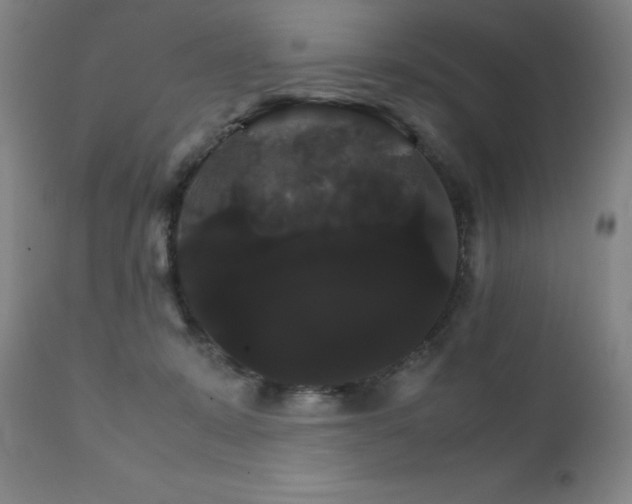 X0000111230319200907021405
