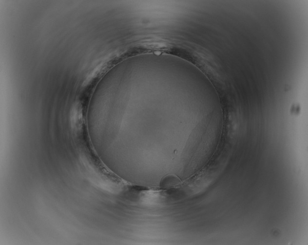 X0000111230320200907021405