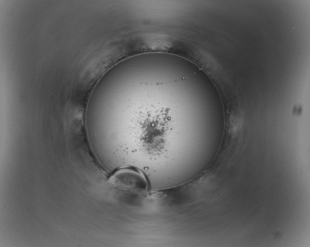 X0000111230321200907021405
