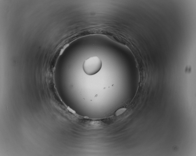 X0000111230324200907021405