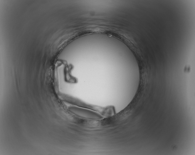 X0000111230325200907021405