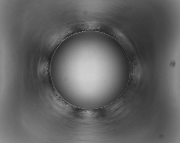 X0000111230326200907021405