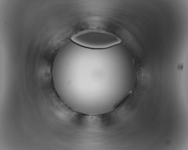 X0000111230327200907021405