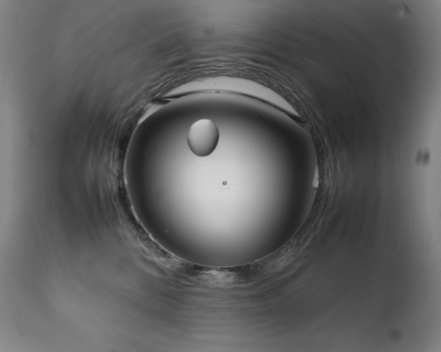 X0000111230328200907021405