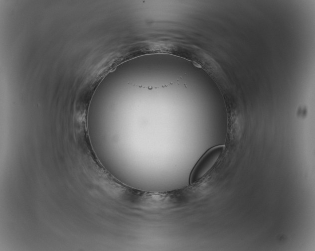 X0000111230329200907021405