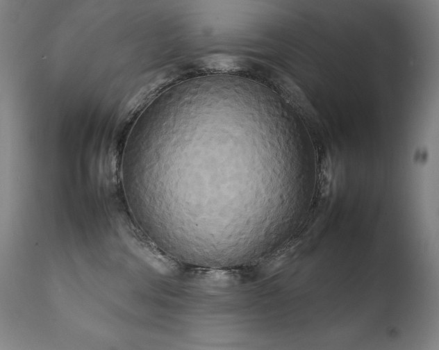 X0000111230330200907021405