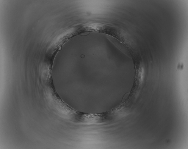 X0000111230331200907021405