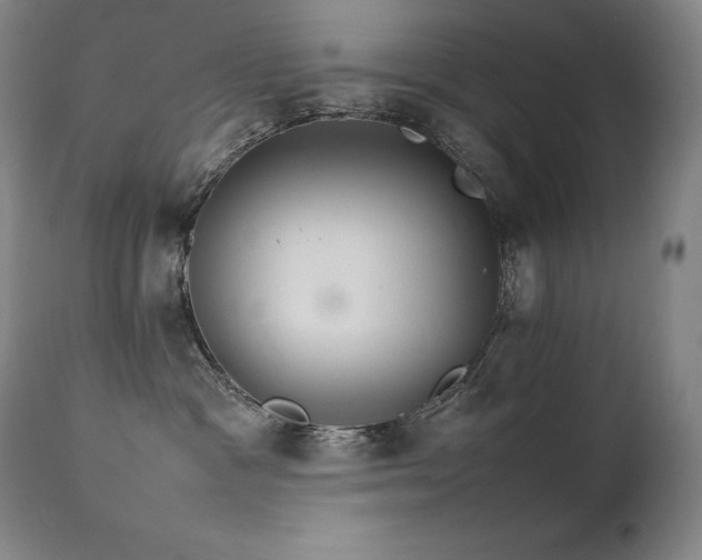 X0000111230333200907021405