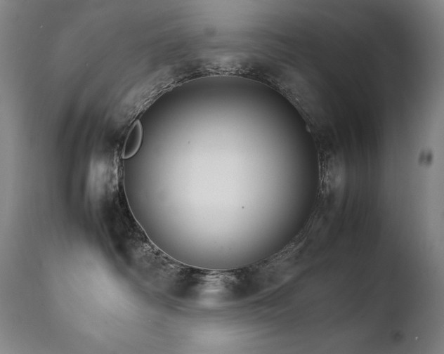 X0000111230334200907021405