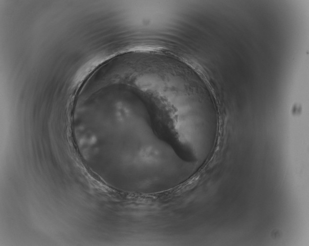 X0000111230337200907021404