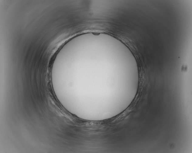 X0000111230338200907021404
