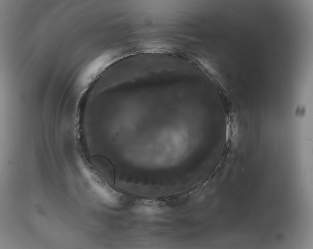 X0000111230339200907021404