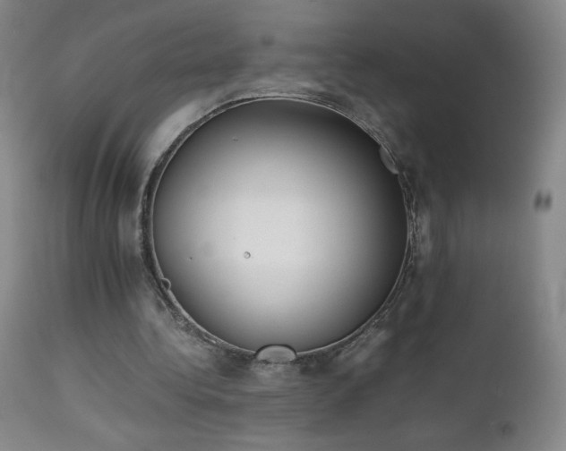 X0000111230340200907021404