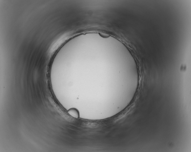 X0000111230341200907021404