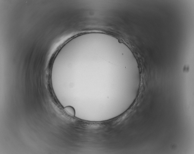 X0000111230342200907021404