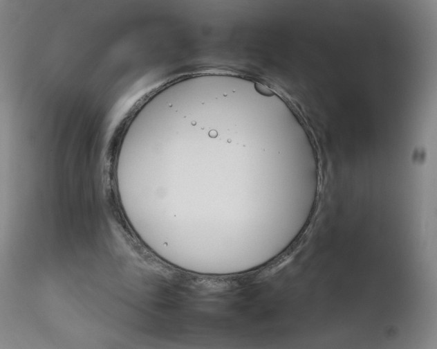 X0000111230343200907021404