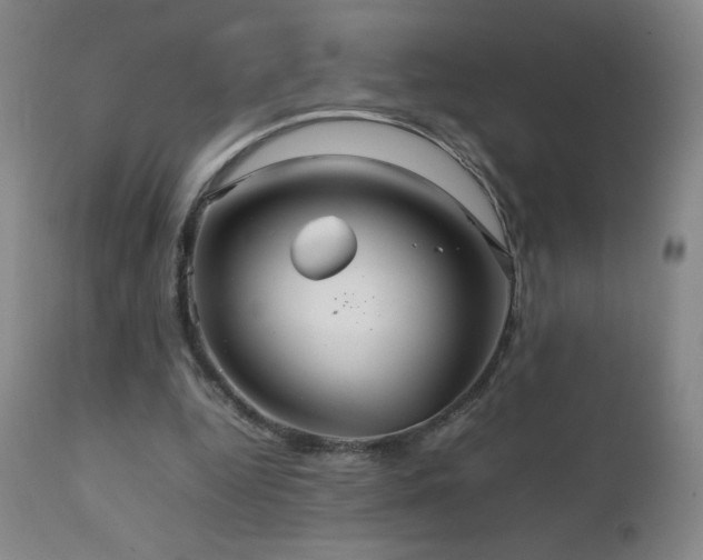 X0000111230344200907021404