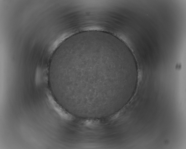 X0000111230345200907021404