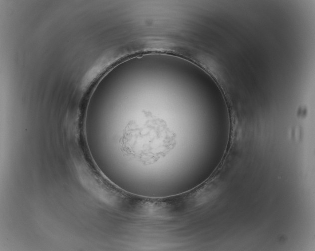 X0000111230346200907021404