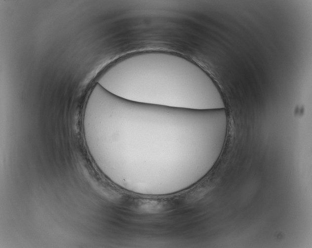 X0000111230347200907021404