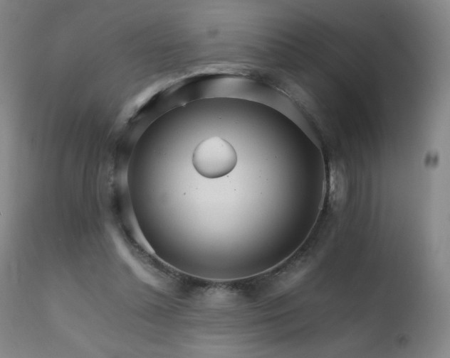 X0000111230348200907021404