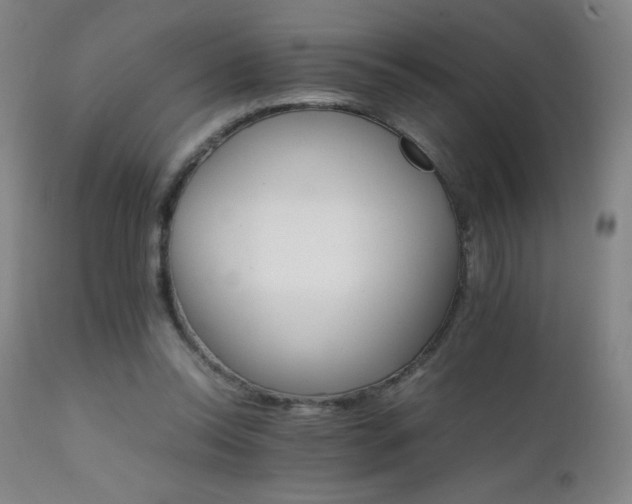 X0000111230350200907021404