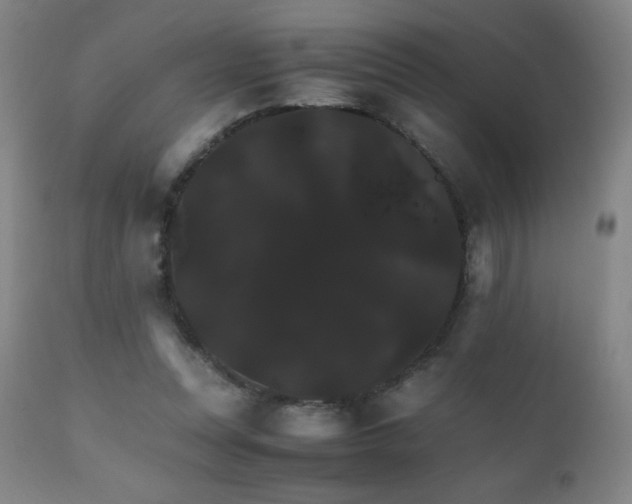 X0000111230351200907021404