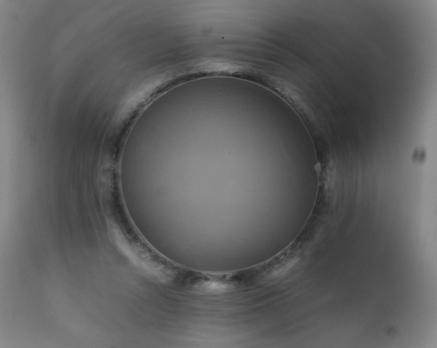 X0000111230352200907021404