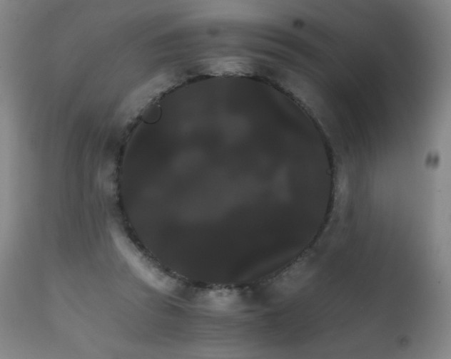 X0000111230353200907021404