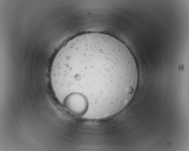X0000111230354200907021404