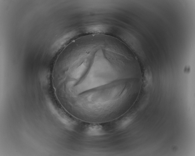 X0000111230355200907021404