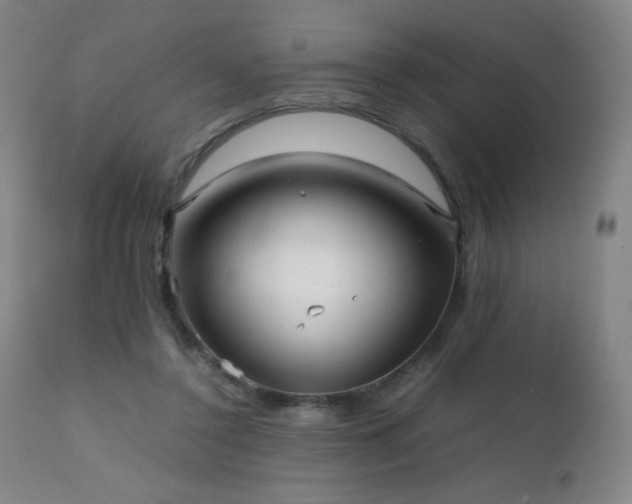 X0000111230356200907021404