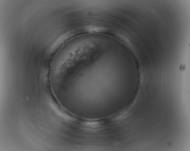 X0000111230357200907021404