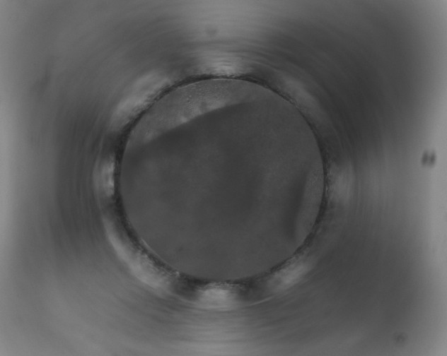 X0000111230358200907021404