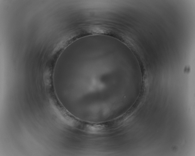 X0000111230359200907021404