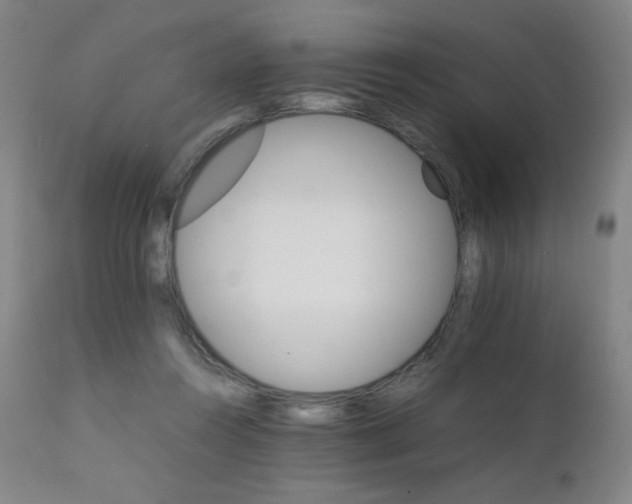 X0000111230360200907021404