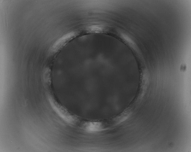 X0000111230361200907021404