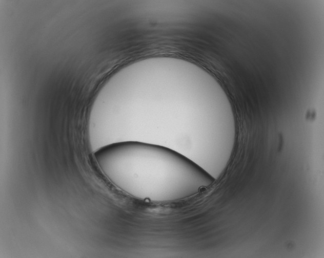 X0000111230362200907021404