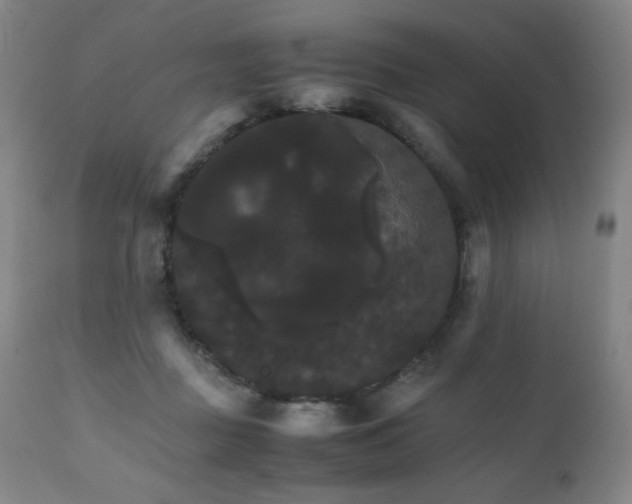 X0000111230363200907021404