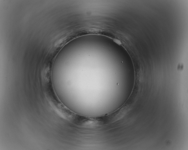 X0000111230364200907021404
