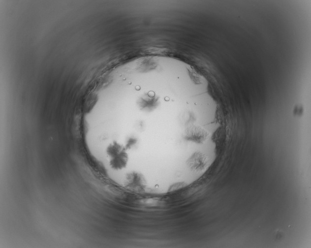 X0000111230365200907021404
